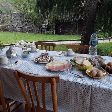La Collina Degli Olivi Bed & Breakfast Carmignano Dış mekan fotoğraf
