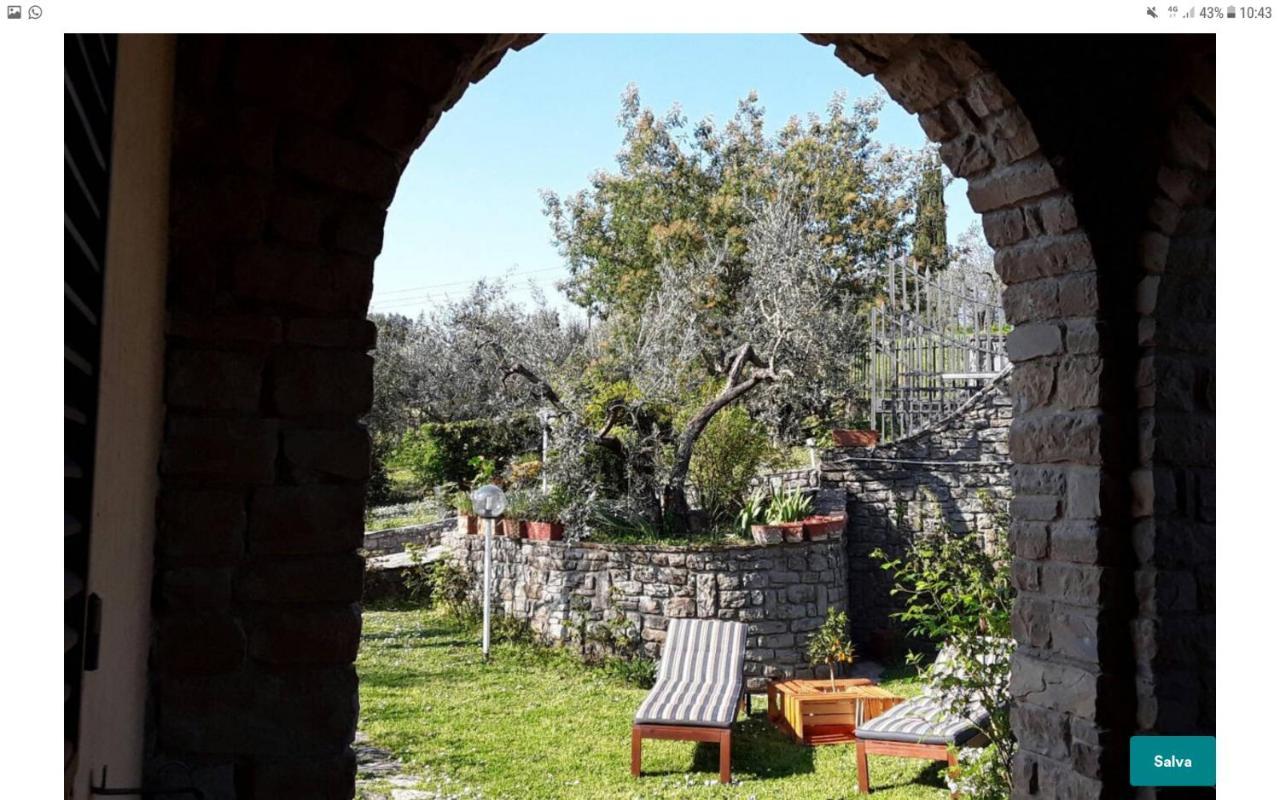 La Collina Degli Olivi Bed & Breakfast Carmignano Dış mekan fotoğraf